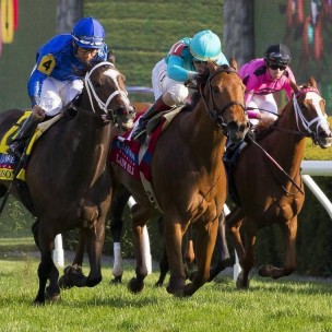 Horse Racing Day